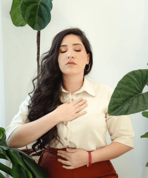 Captura de tela 2024-12-14 164446